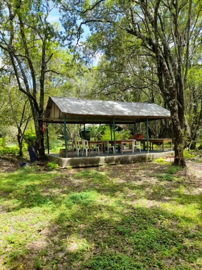 Leruk Maasai Mara Camp Hotel Sekenani Eksteriør billede