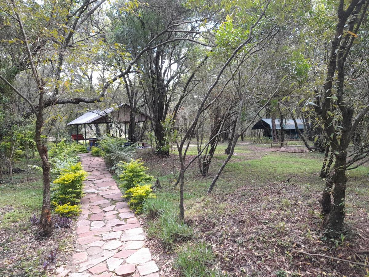 Leruk Maasai Mara Camp Hotel Sekenani Eksteriør billede