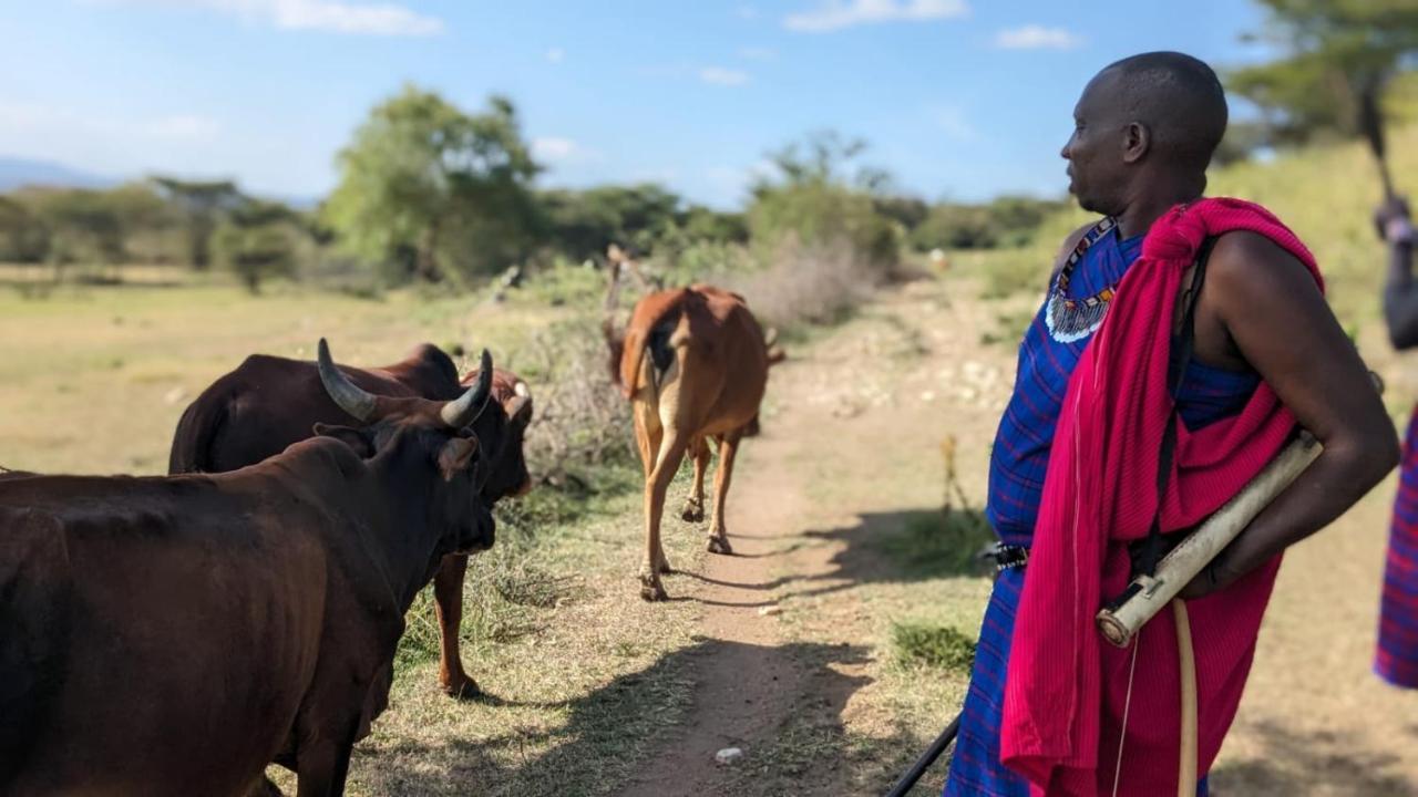 Leruk Maasai Mara Camp Hotel Sekenani Eksteriør billede