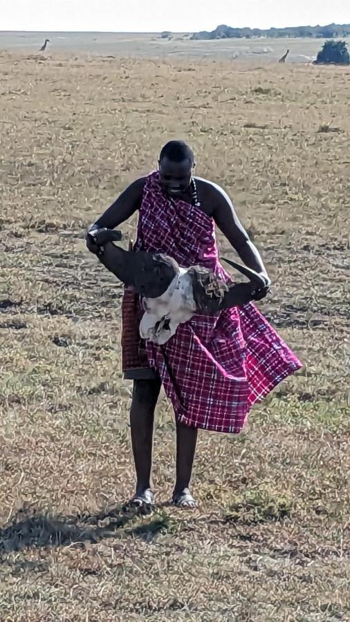 Leruk Maasai Mara Camp Hotel Sekenani Eksteriør billede